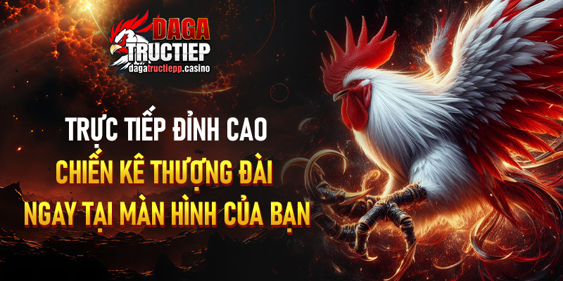 Đá Gà Trực Tiếp ÉC🎖️ Link Phát Sóng Full HD - Chân Gà Xả Tắc 9/2026 4 Các loại hình đá gà trực tiếp được phát sóng