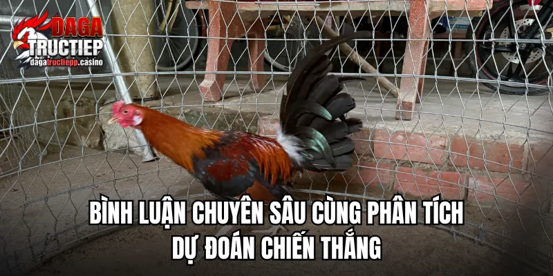 Đá Gà Trực Tiếp ÉC🎖️ Link Phát Sóng Full HD - Chân Gà Xả Tắc 9/2026 5 Những lưu ý khi xem đá gà trực tiếp cho mượt